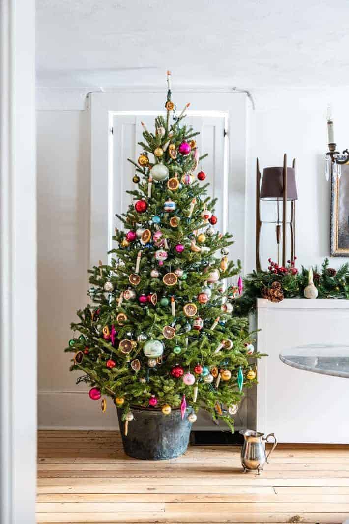 An old fashioned Christmas tree with dried orange slices and antique balls withs in a room with worn wood floors and white walls.