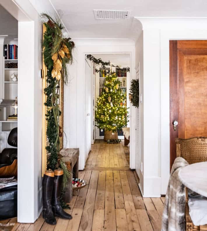 View down a hallway with antique pine floors to a live Christmas tree at the end.