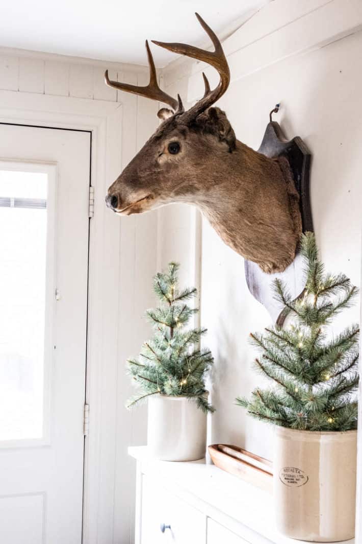 Mounted stags head hangs on a wall over a white cabinet with small Christmas trees in antique crocks.