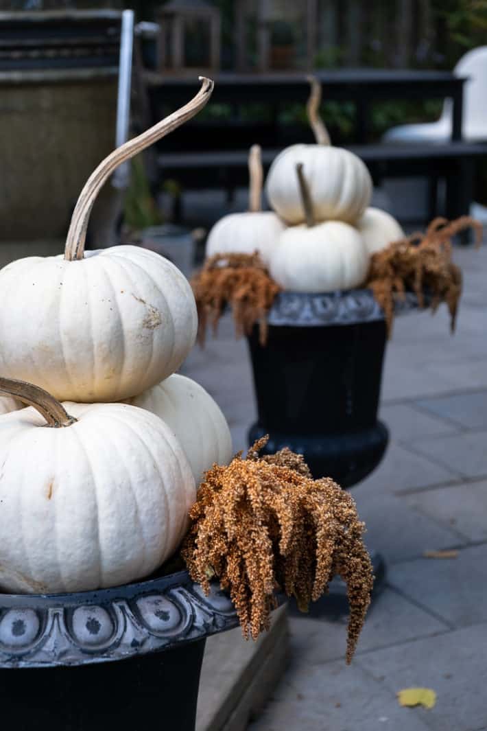 White pumpkins stacked in a pyramid shape in black cast iron urns with gold amaranth.