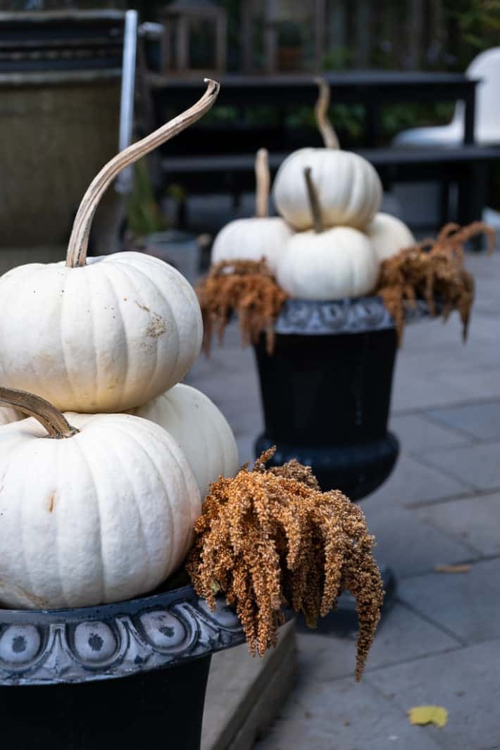 White pumpkins stacked in a pyramid shape in black cast iron urns with gold amaranth.
