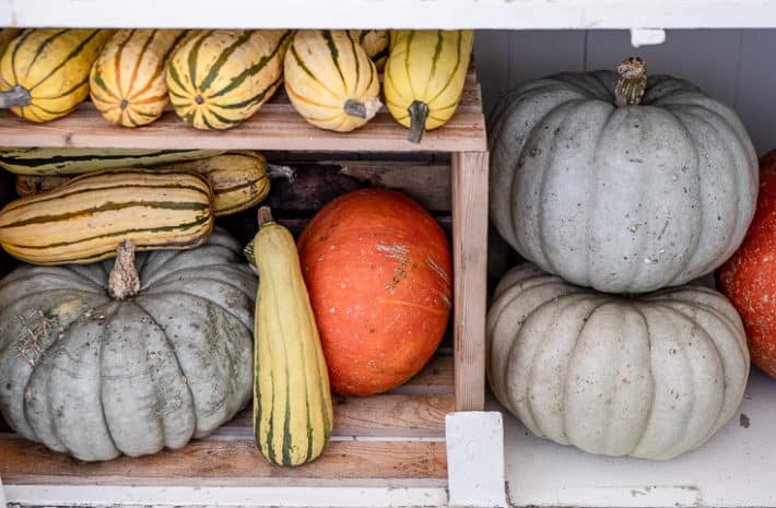 Stacks of pumpkins and squash like Delicata, Jarrahdale and Hopi.