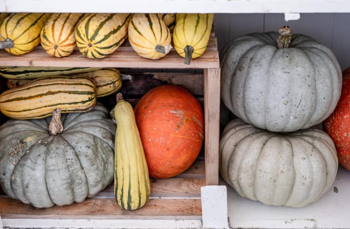 All the Best Ways to Store Vegetables Over Winter – Garden Betty