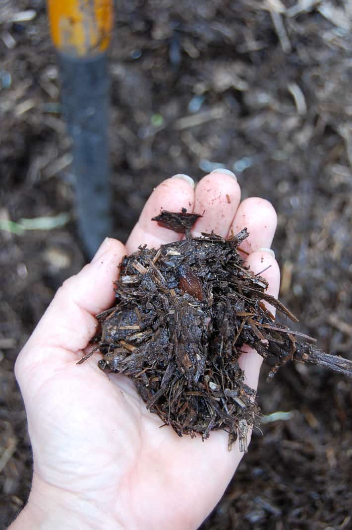 A hand holds up a palmful of compost that doesn't look completely broken down with some twigs and straw showing.