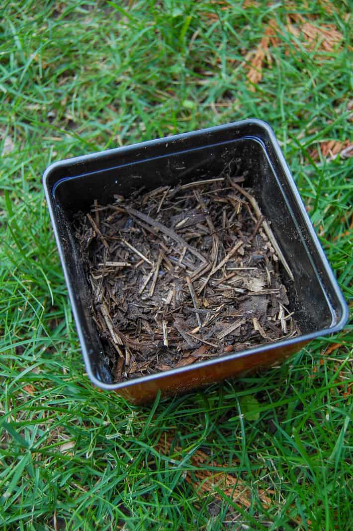 A small pot filled with mostly broken down compost.