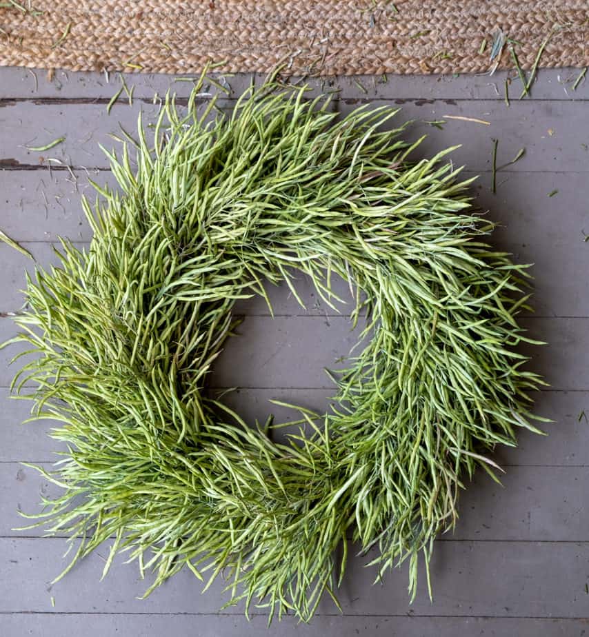 Wreath made out of not yet mature kale seed pods.