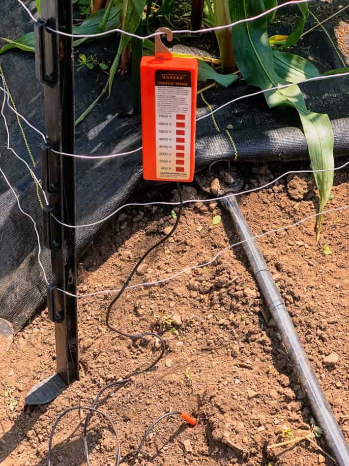 Electric fence tester hanging off of wire.