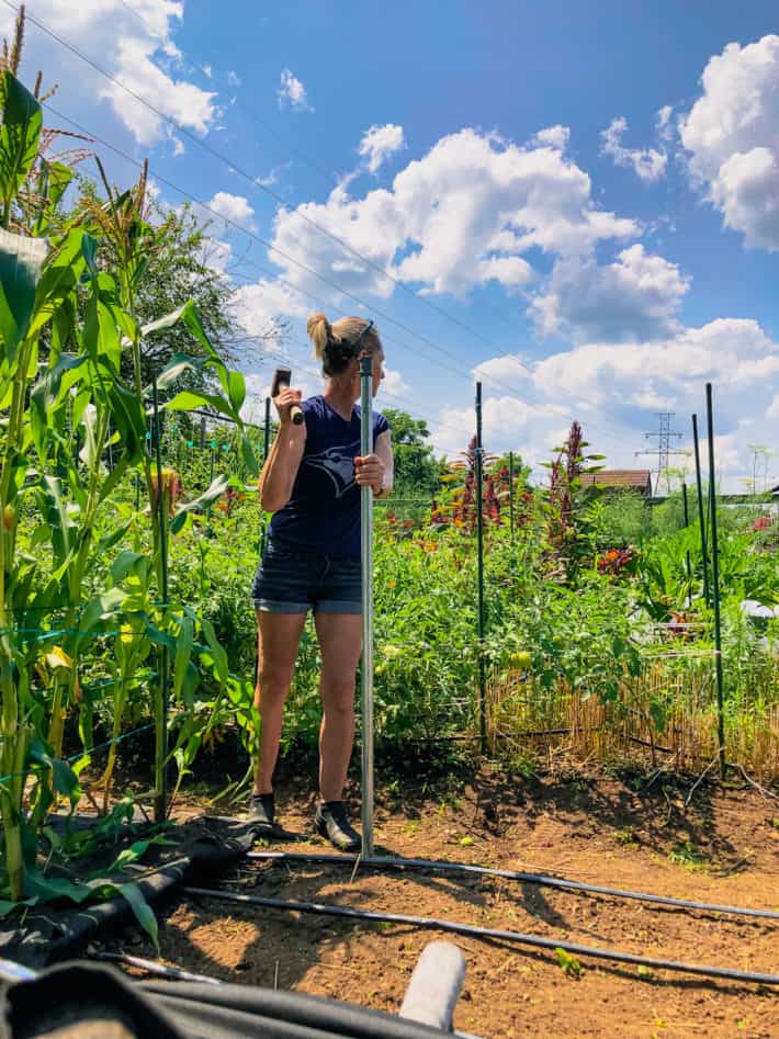 Installing an Electric Fence in Your Home Garden. The Art of Doing Stuff