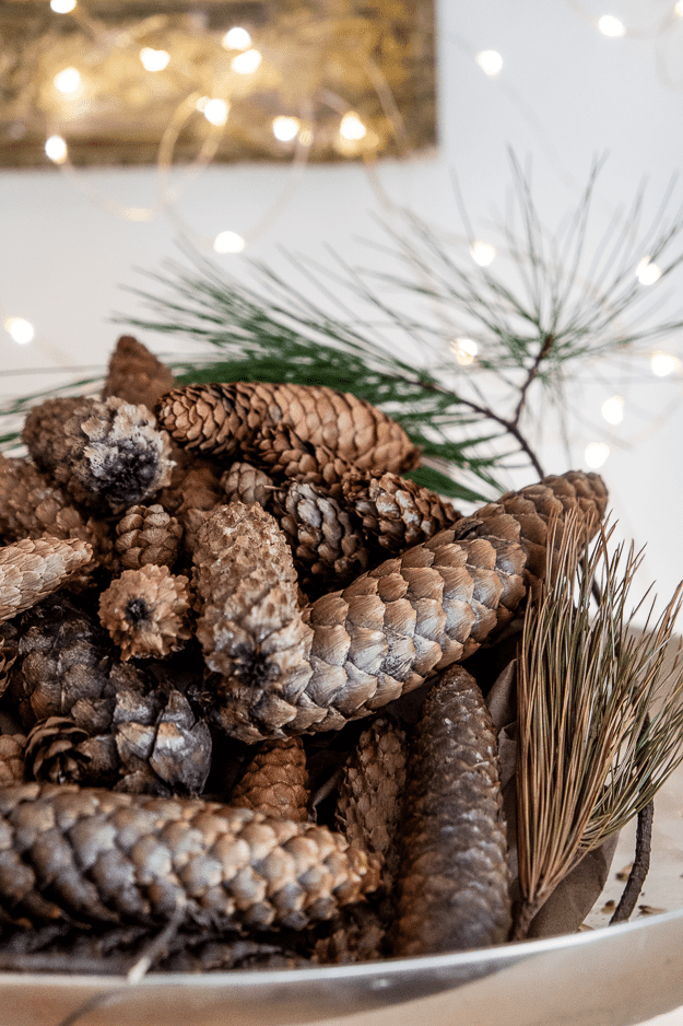Christmas shop pine cones
