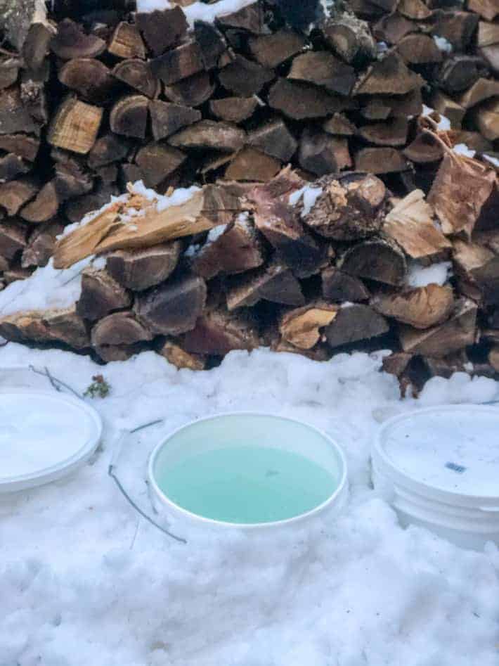Maple sap in 5 gallon plastic bucket.
