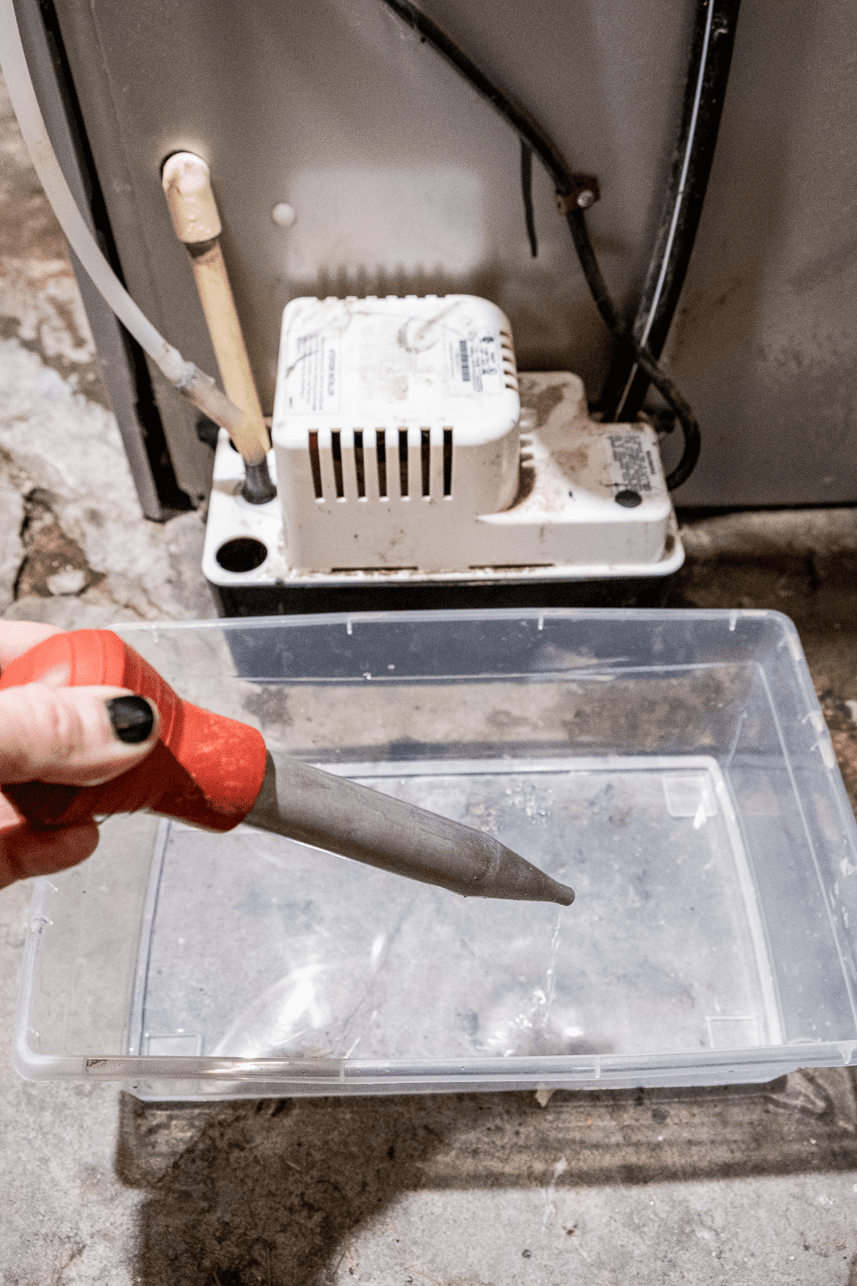 Squeezing water out of turkey baster.