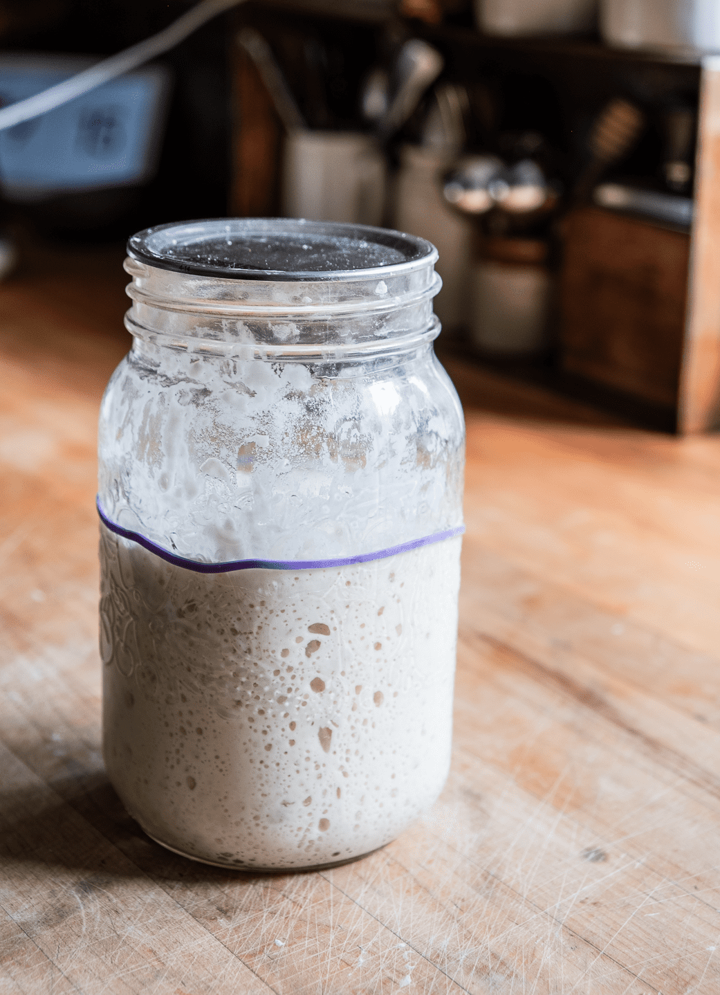 Replying to @user807400012524 This starter has been dry for 45 days. , Sourdough Bread Recipe