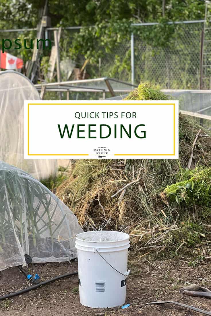 Weeding: Killing, Pulling & Preventing