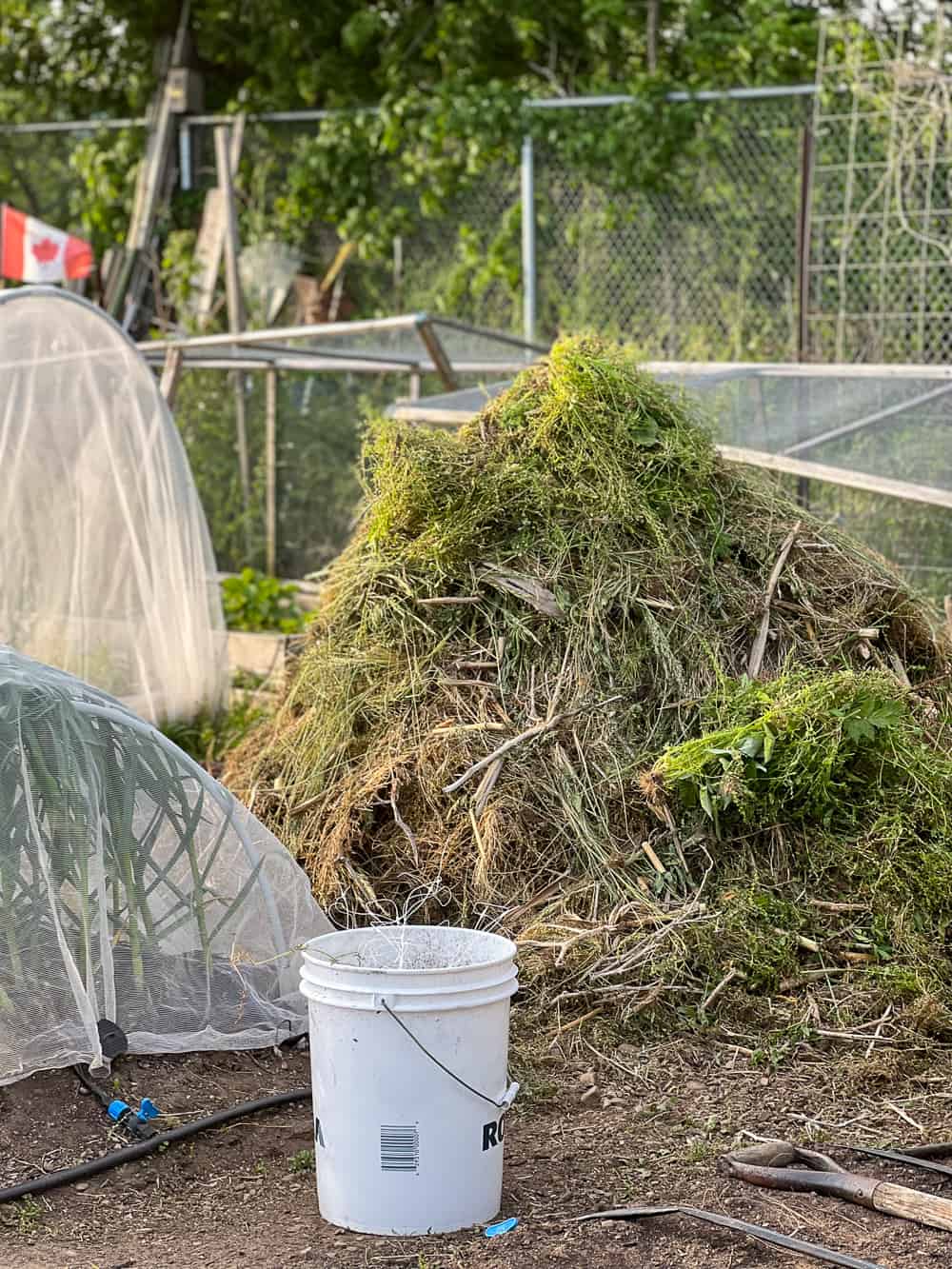 A mound of weeds ready to become compost.