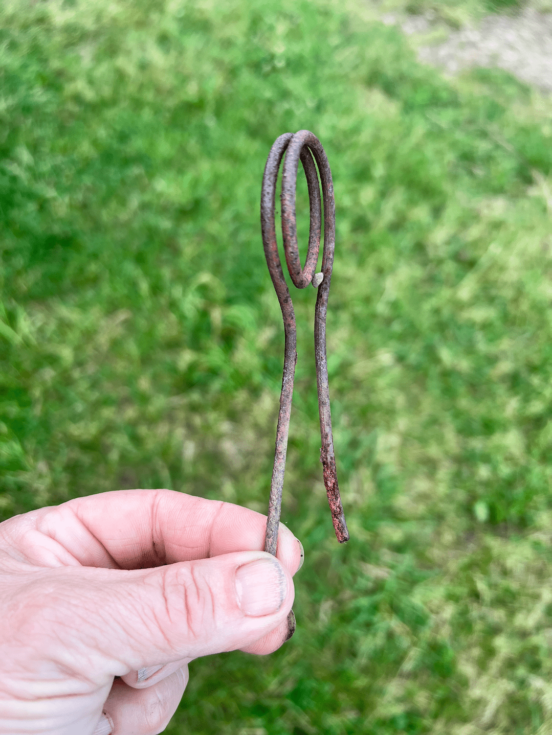 Coat hanger wire looped with 2 long ends.