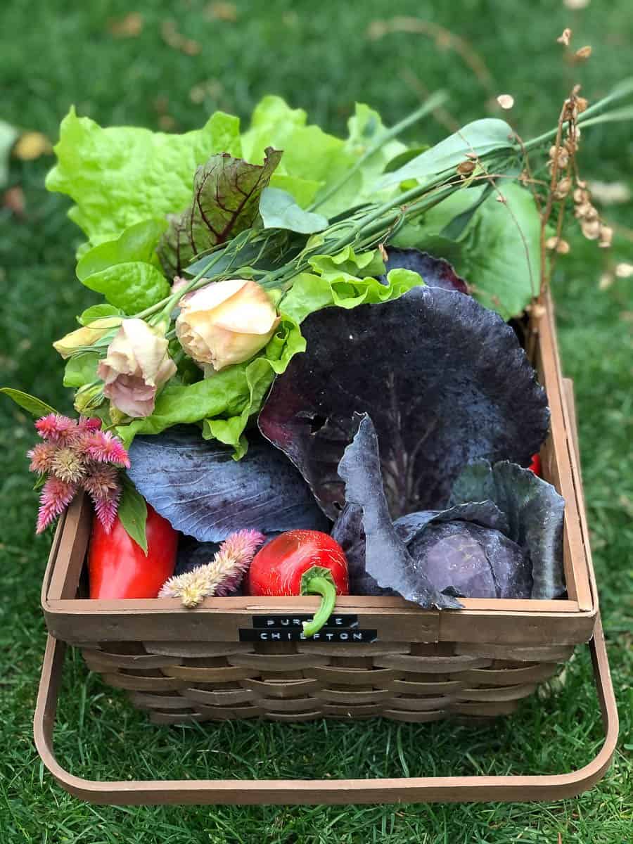 Wicker basket filled with garden harvest including lisianthus, peppers, cabbage, beets and lettuce.