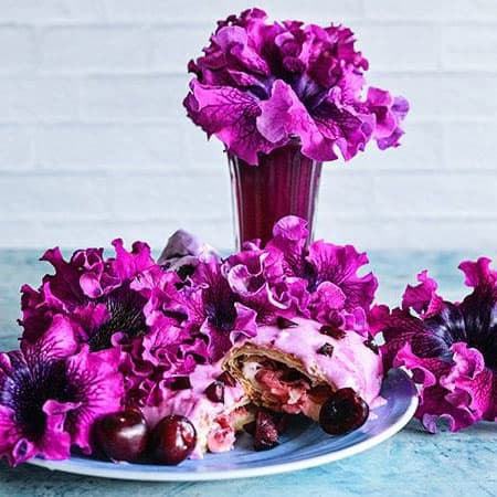 Cosmic Cherry petunias.