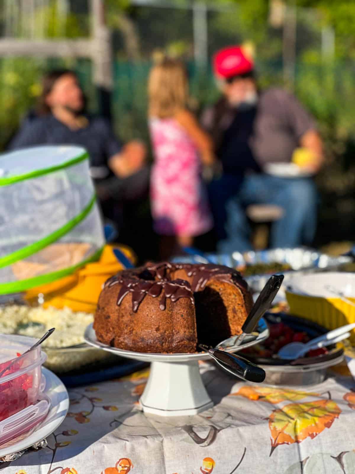 https://www.theartofdoingstuff.com/wp-content/uploads/2023/04/Dundas-Community-Garden-BBQ-4.jpg