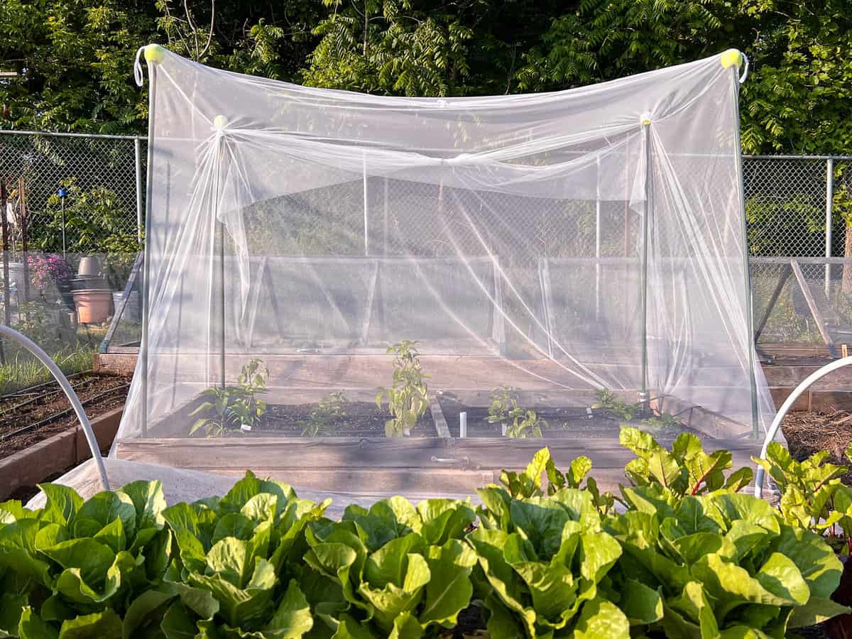 The (Instant) Happy Camper Hoop House - The Art of Doing Stuff