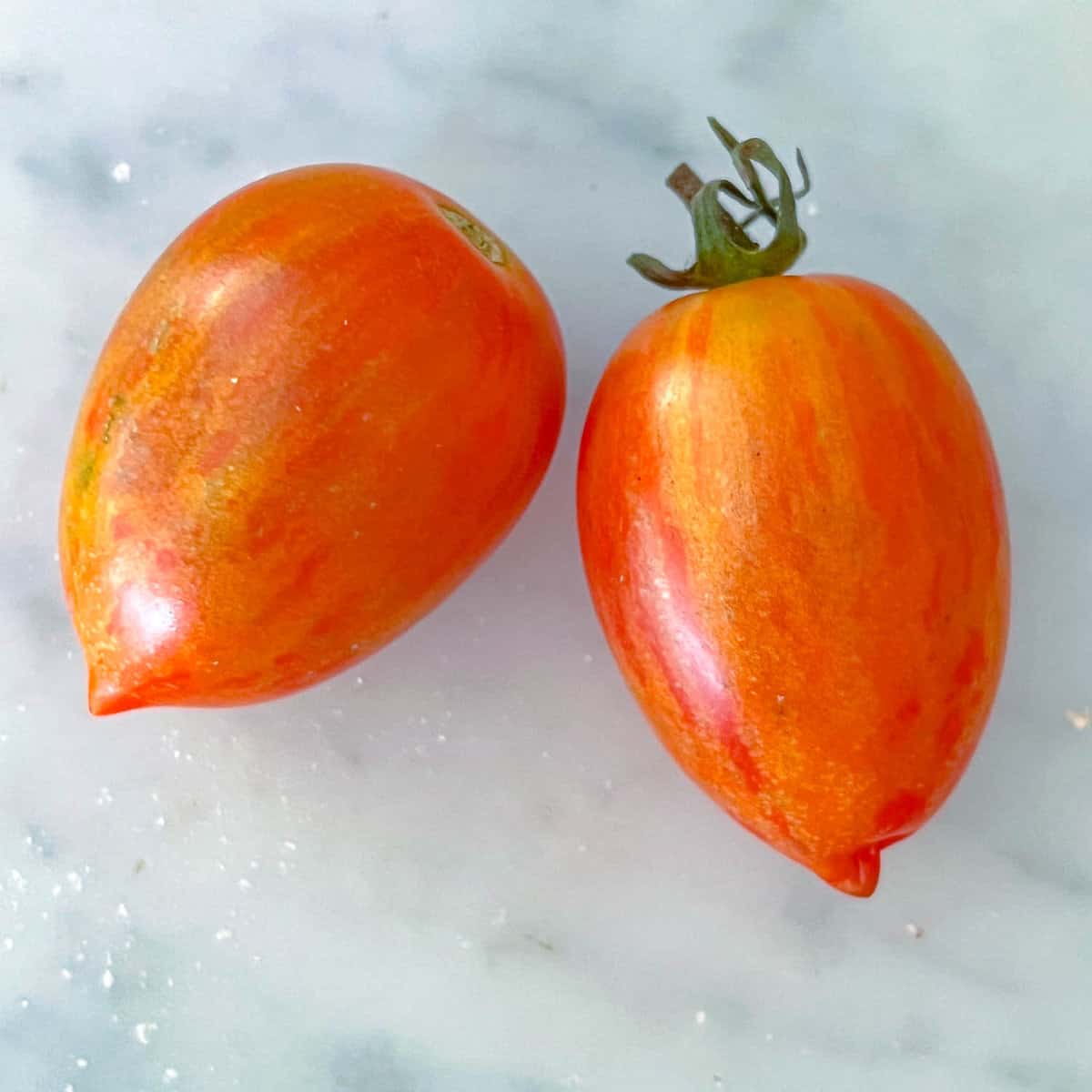 Two AAS winner, Red Torch tomatoes