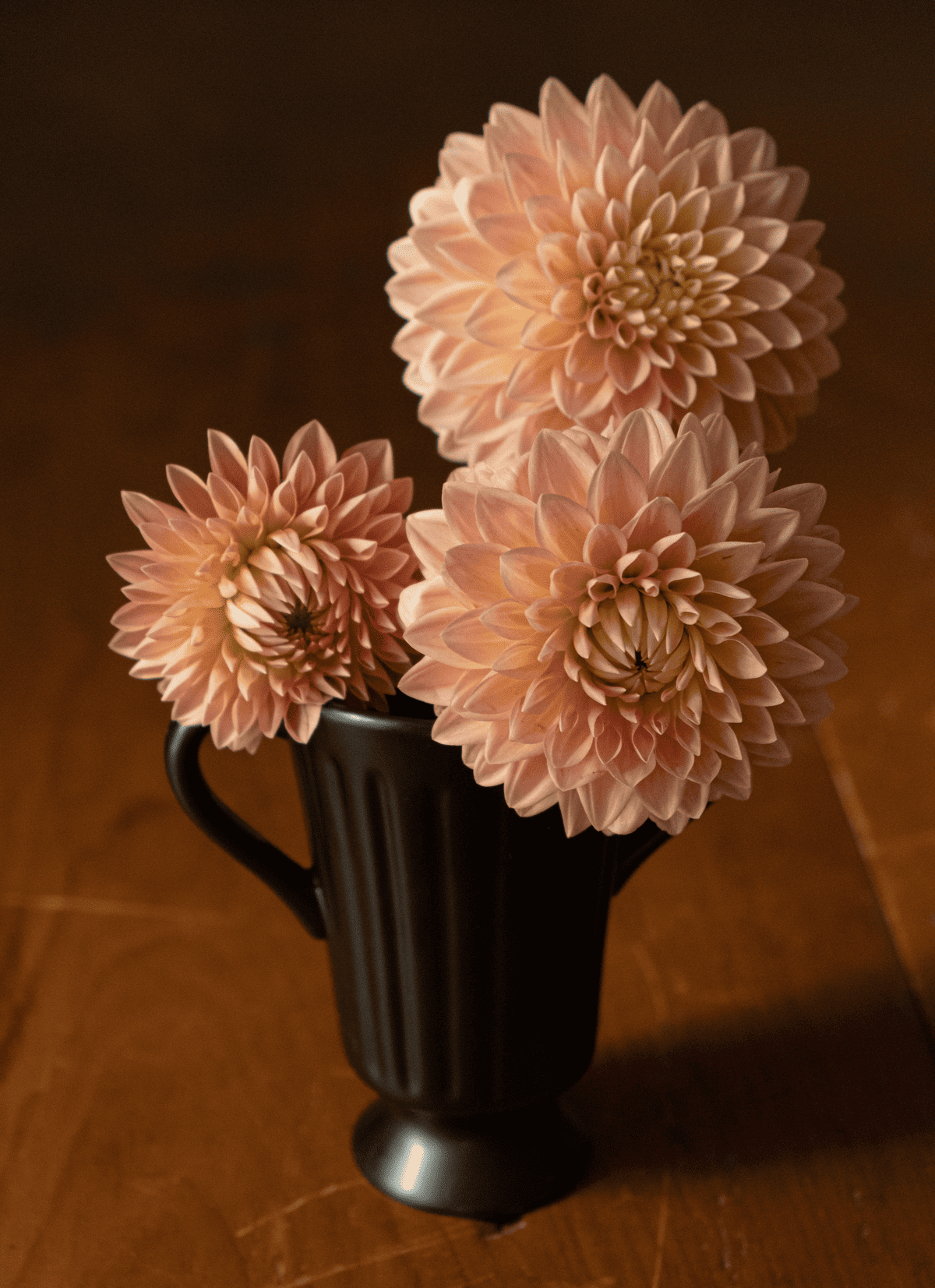 Hamilton Lillian dahlias in black vase on harvest table.