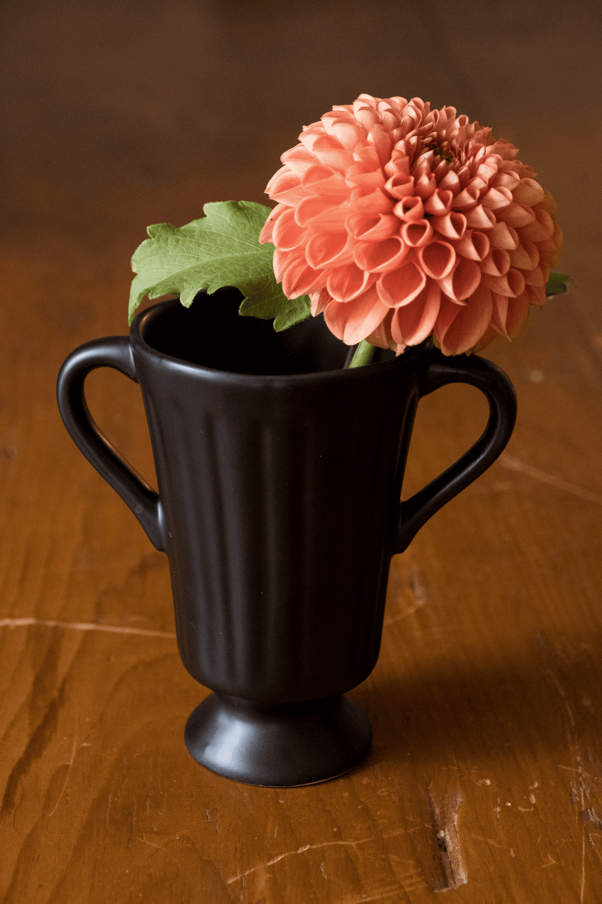 Cornel Bronze dahlia in black vase.