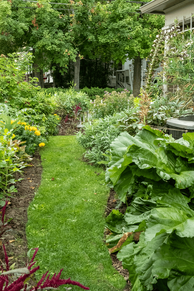 Grass path between garden beds.