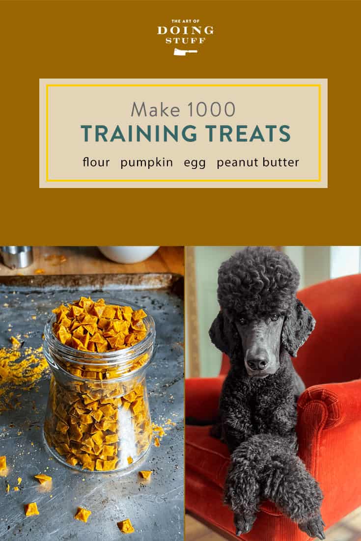 Make 1000 Dog Training Treats