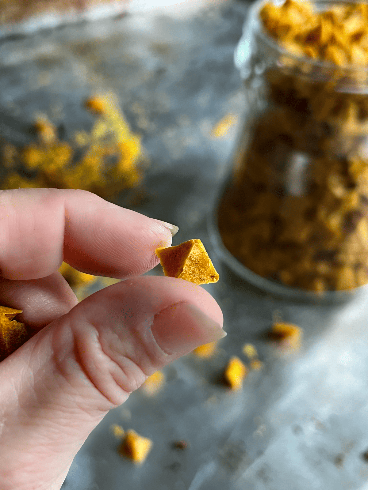 Use a Silicone Baking Mold to Make Frozen Dog Treats - Animal Behavior  College