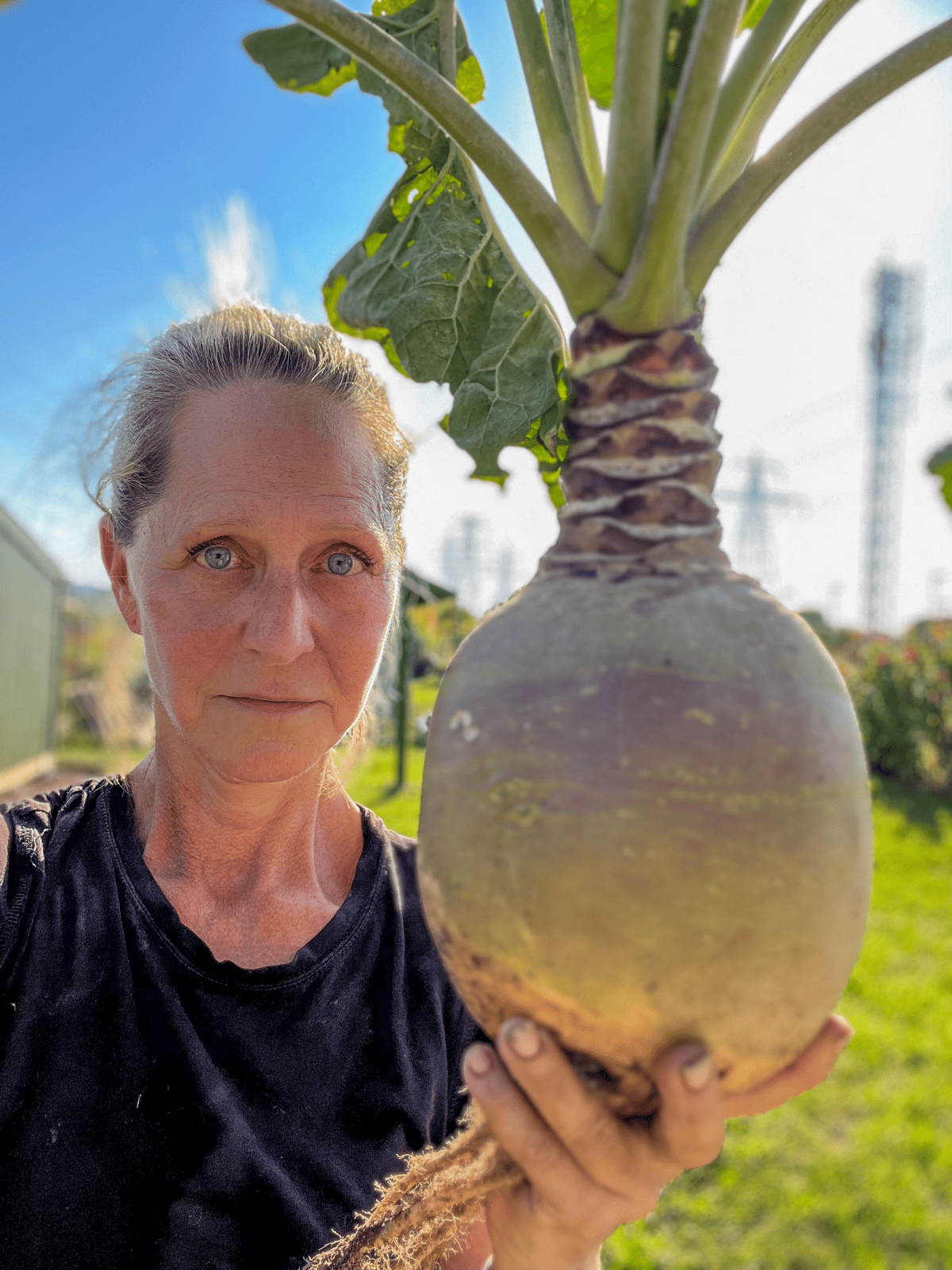 Karen Bertelsen's home grown rutabaga.