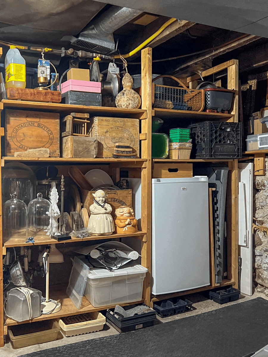 Basement shelves filled with stuff.