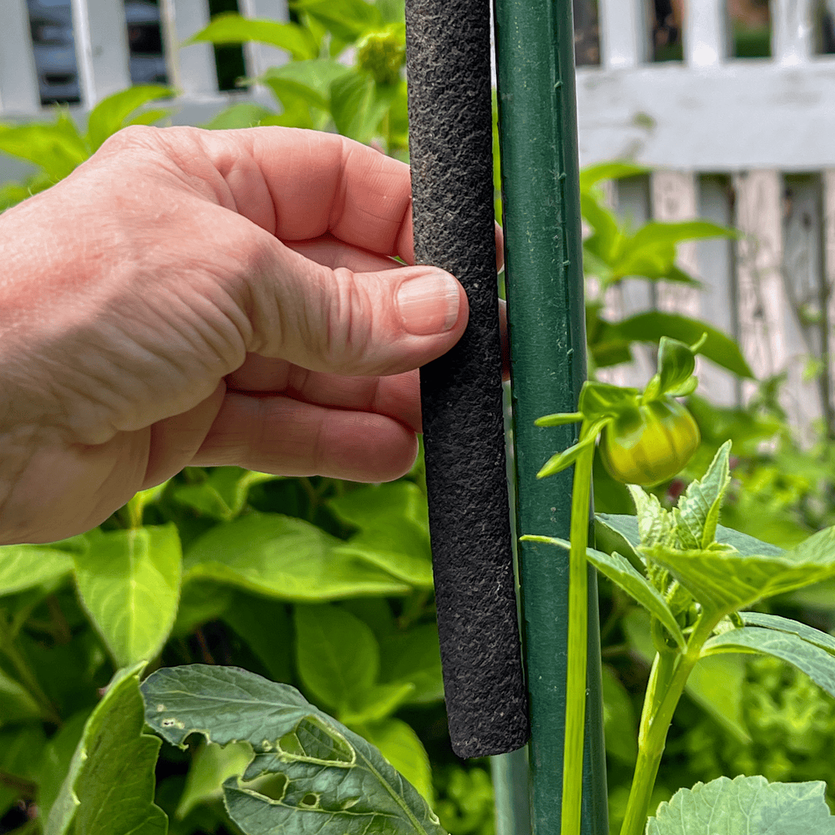 A piece of soaker hose next to a stake in a garden.