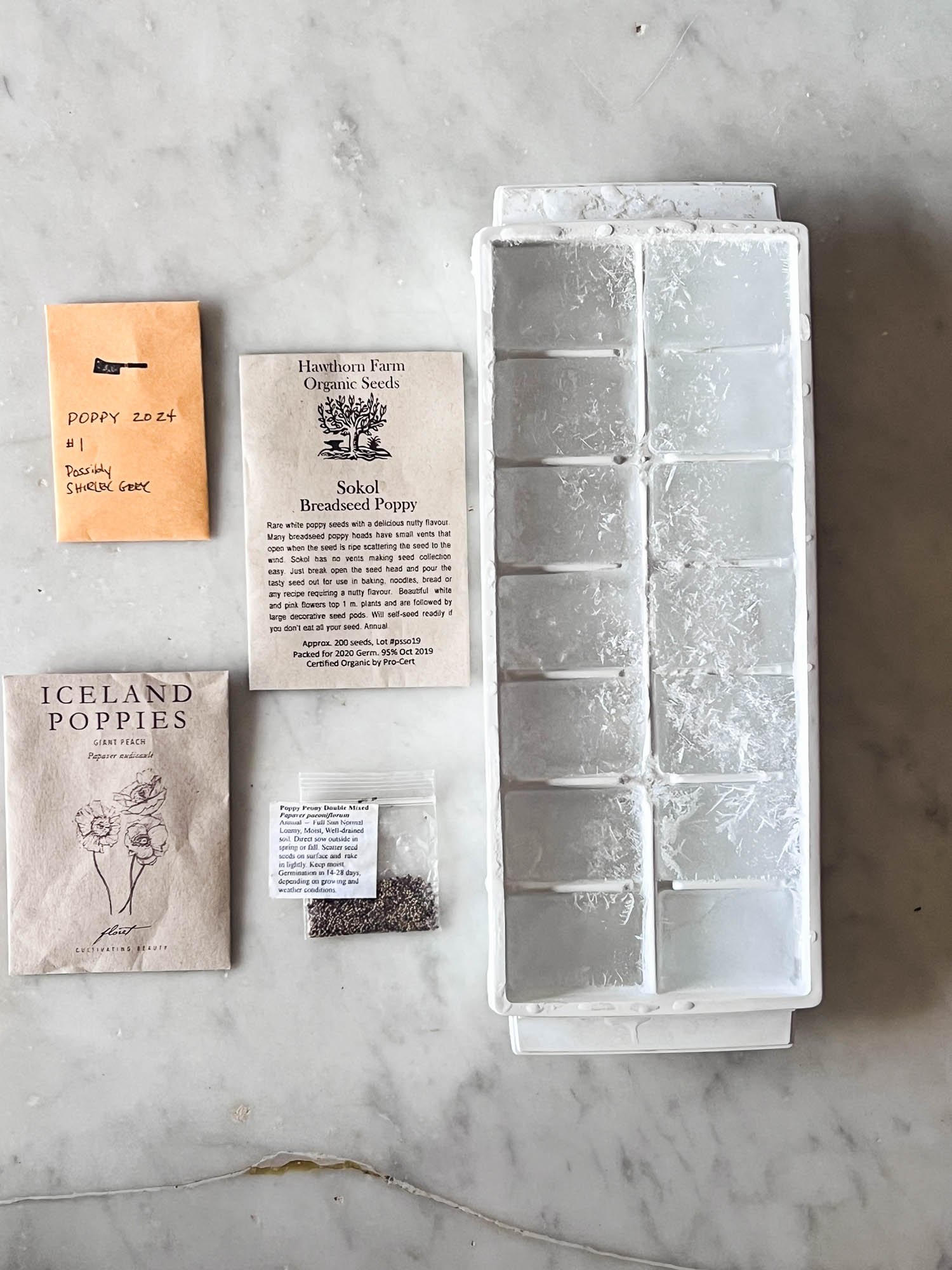 White plastic ice cube tray filled with ice cubes with poppy seed packets beside it.
