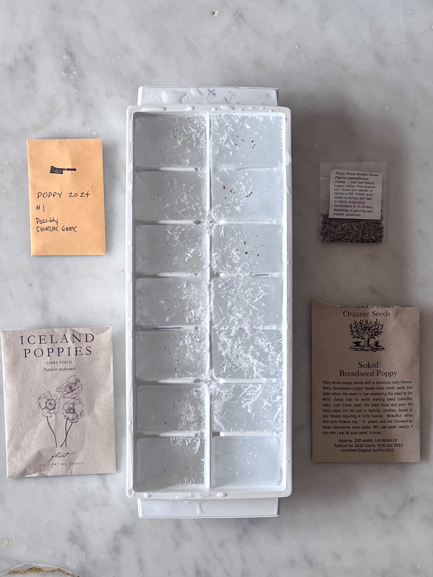 White ice cube tray with ice in it surrounded by packets of poppies, Iceland, Shirley Grey, Breadseed.