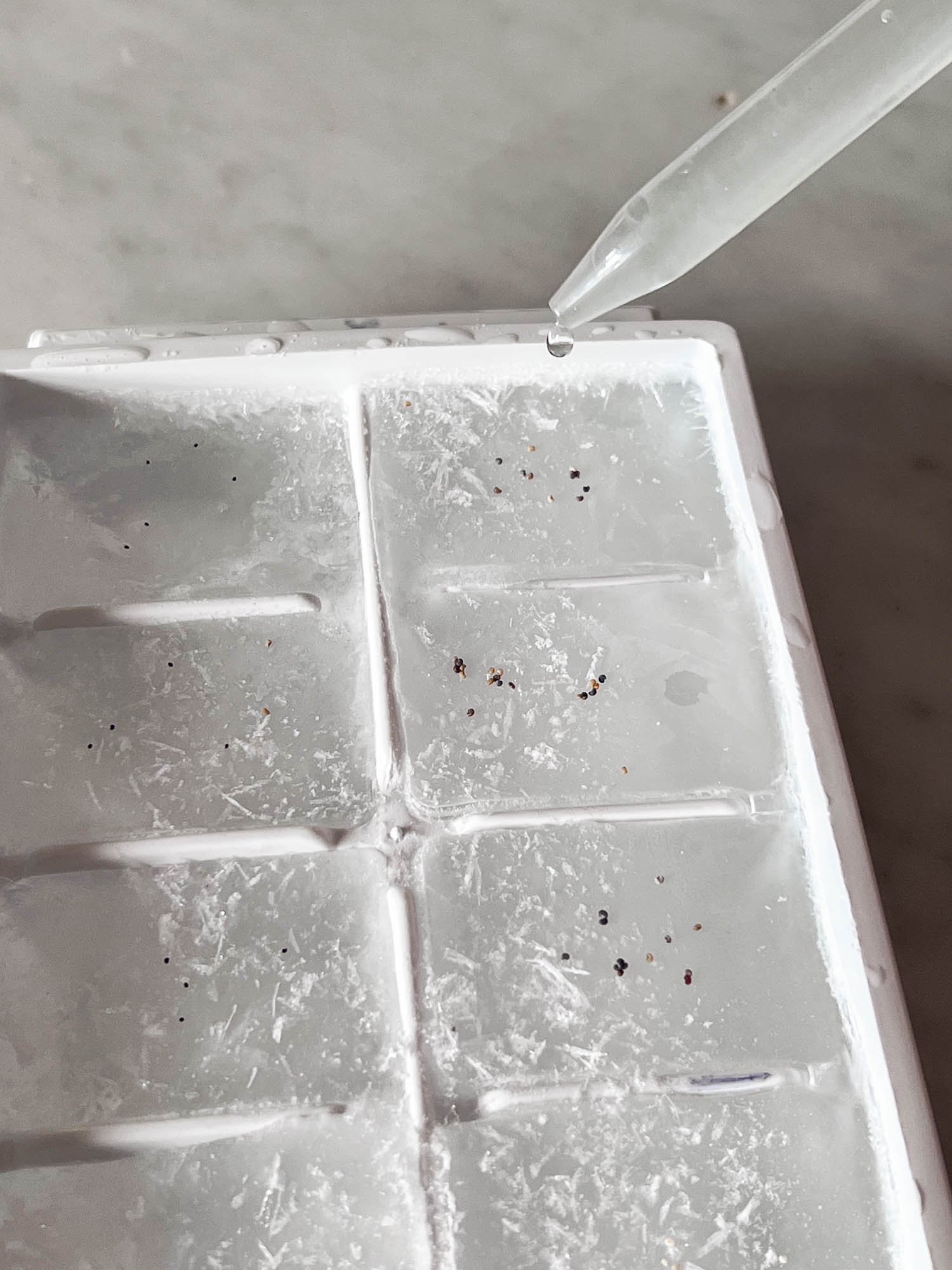 Water dripping drops onto an ice cube tray filled with ice cubes and poppy seeds sprinkled on top.