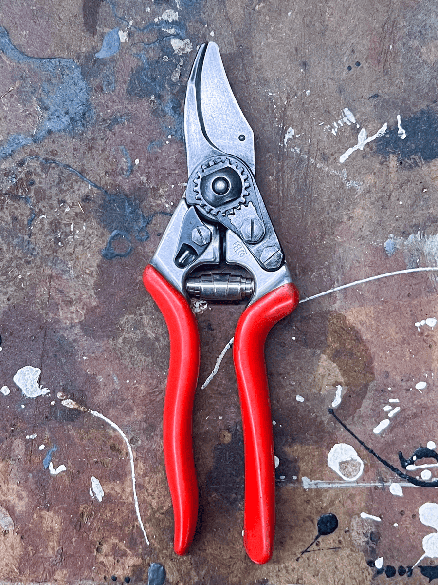 Newly cleaned and sharpened Felco pruners.