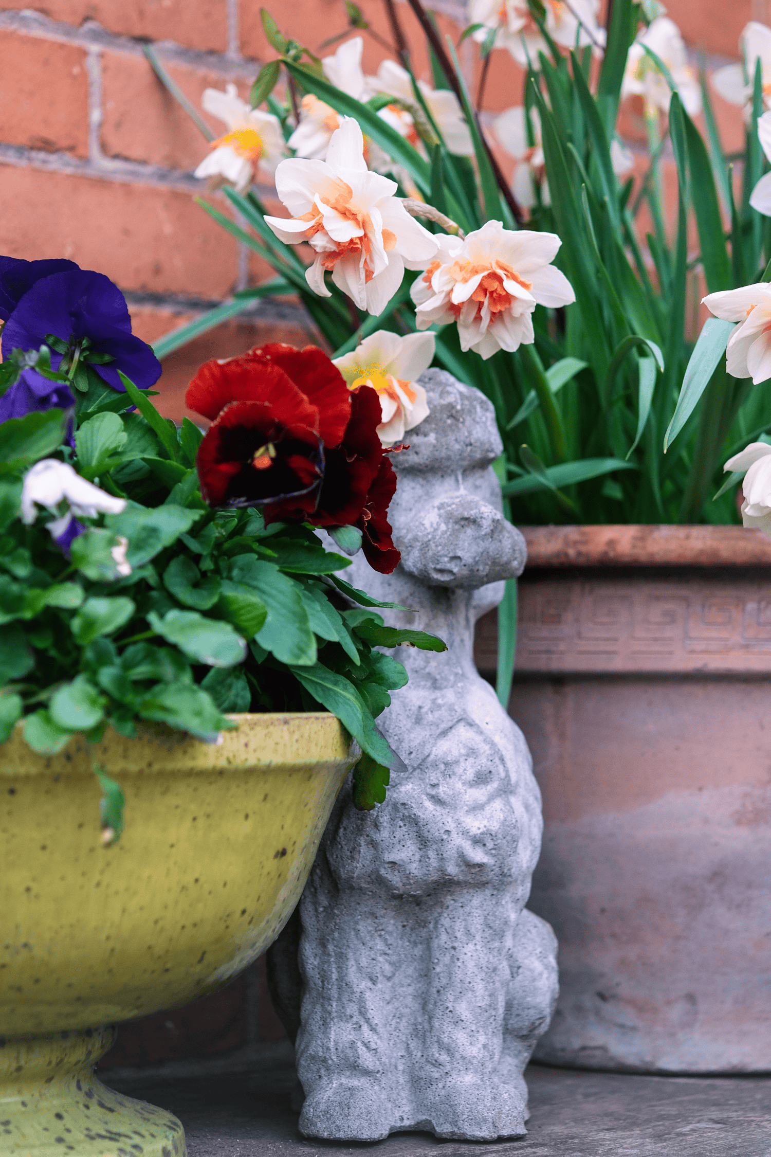A cement poodle statue peeks out between a pot of pansies and a pot of daffodils.