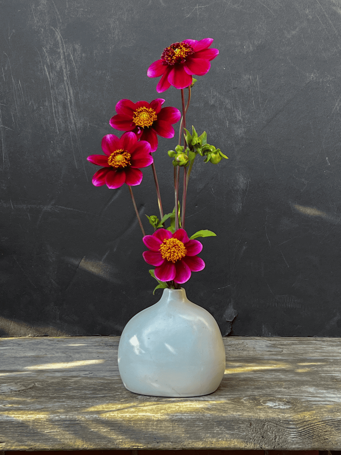 Rock Star dahlia arrangement in short white vase from The Art of Doing Stuff.