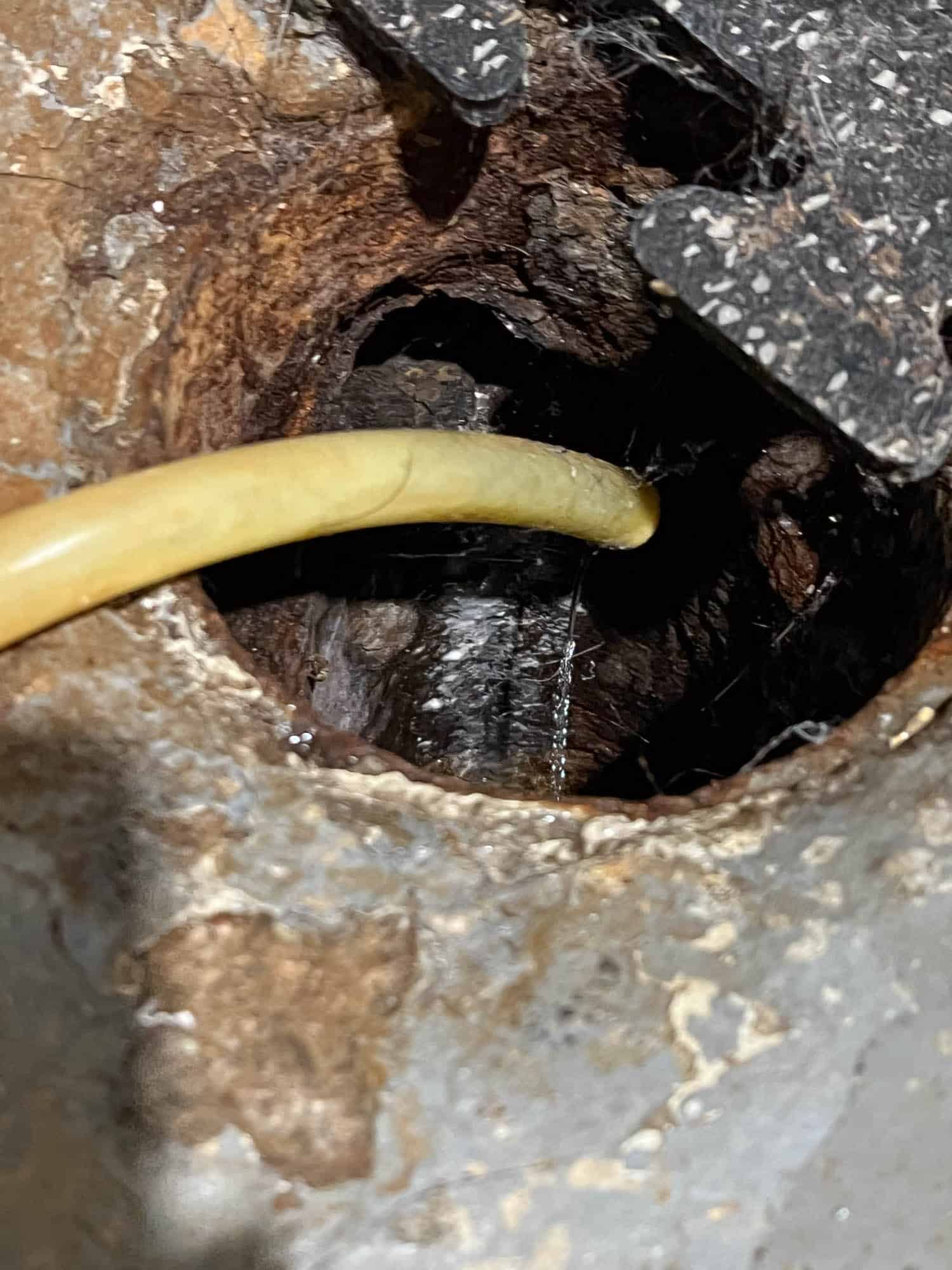 Drain line dripping water into basement drain.