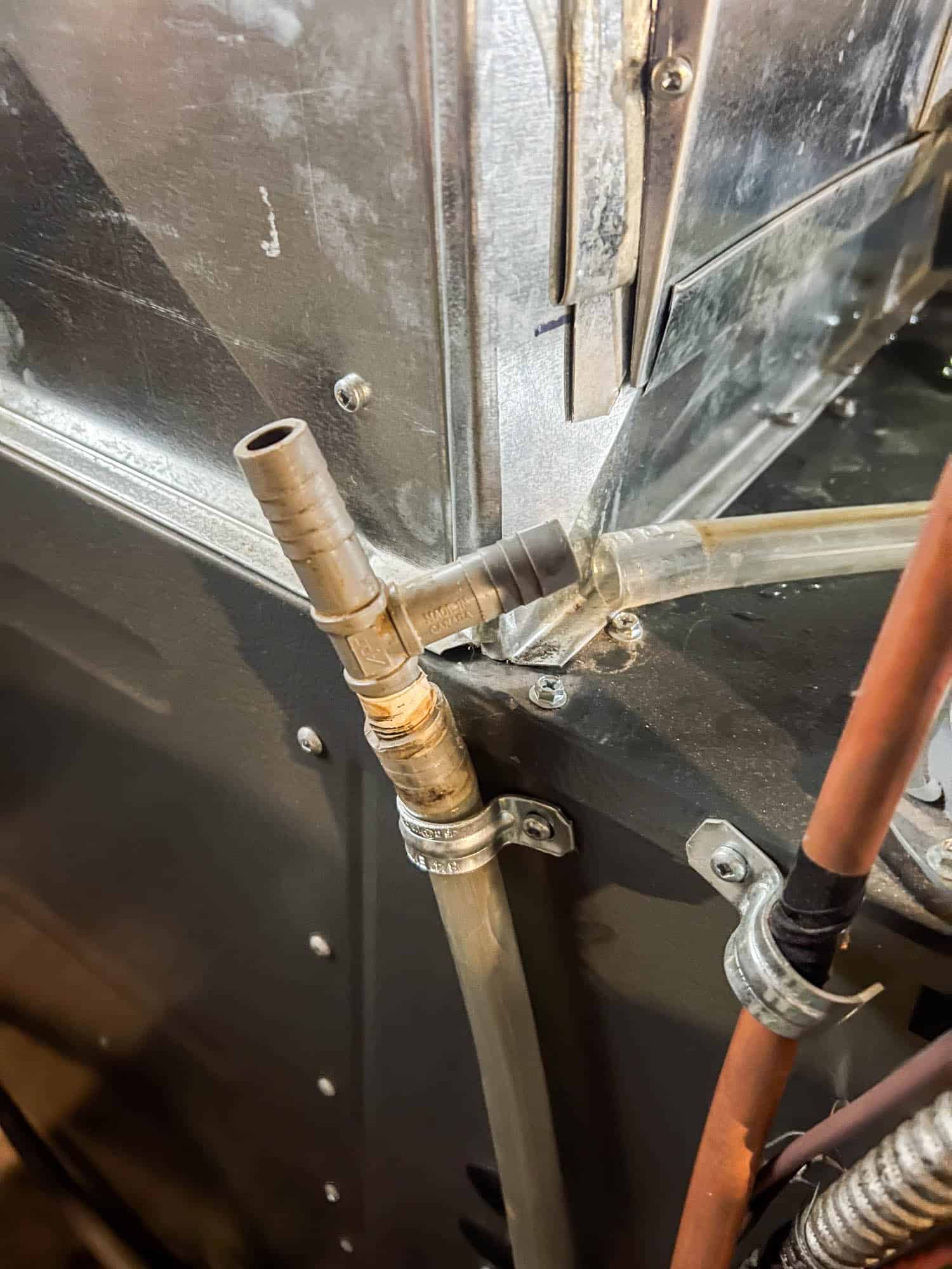 A partly disconnected T connector on a furnace drain line.