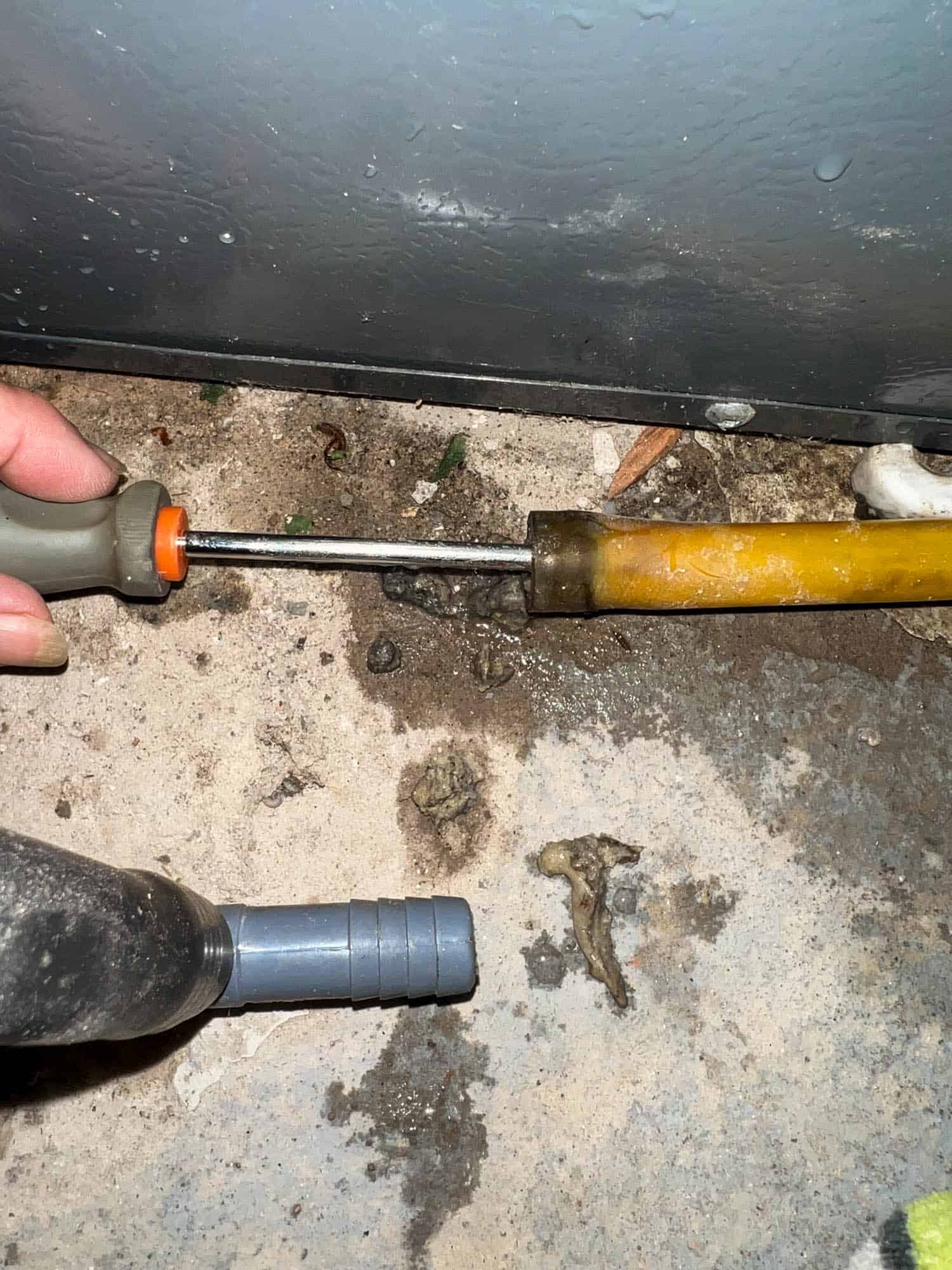 Scraping out clog from AC drain line with a screwdriver.