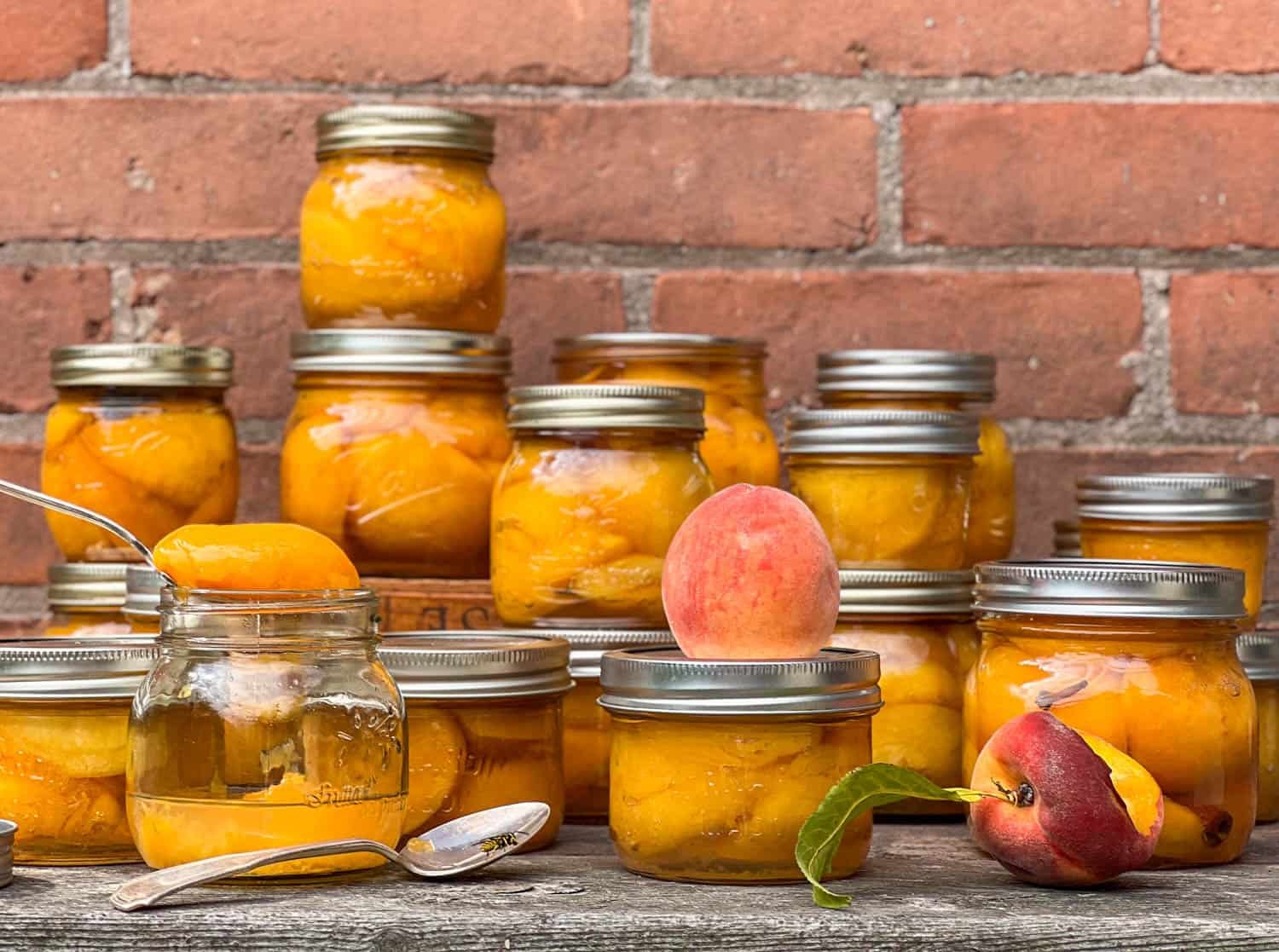 Rows of home canned peaches in mason jars on a rough wood table in front of a red clay brick wall.
