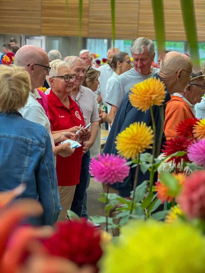 Judges assess the blooms at the Hamilton Dahlia Society show.