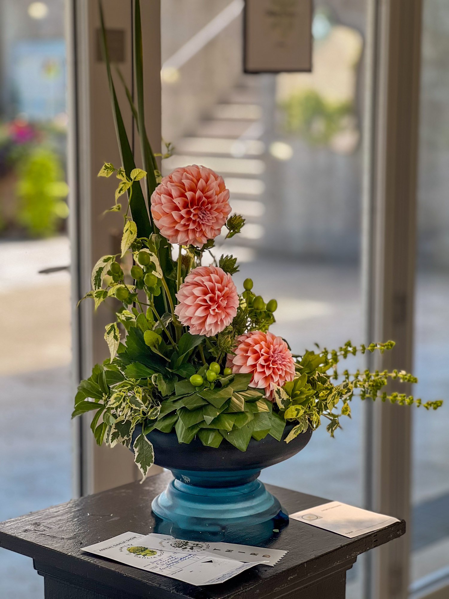 Flower arrangement for exhibition of greenery and 3 salmon/coral dahlias.