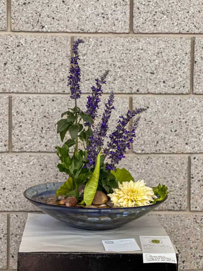 Salvia floral arrangement with a single dahlia in a vessel with rocks.