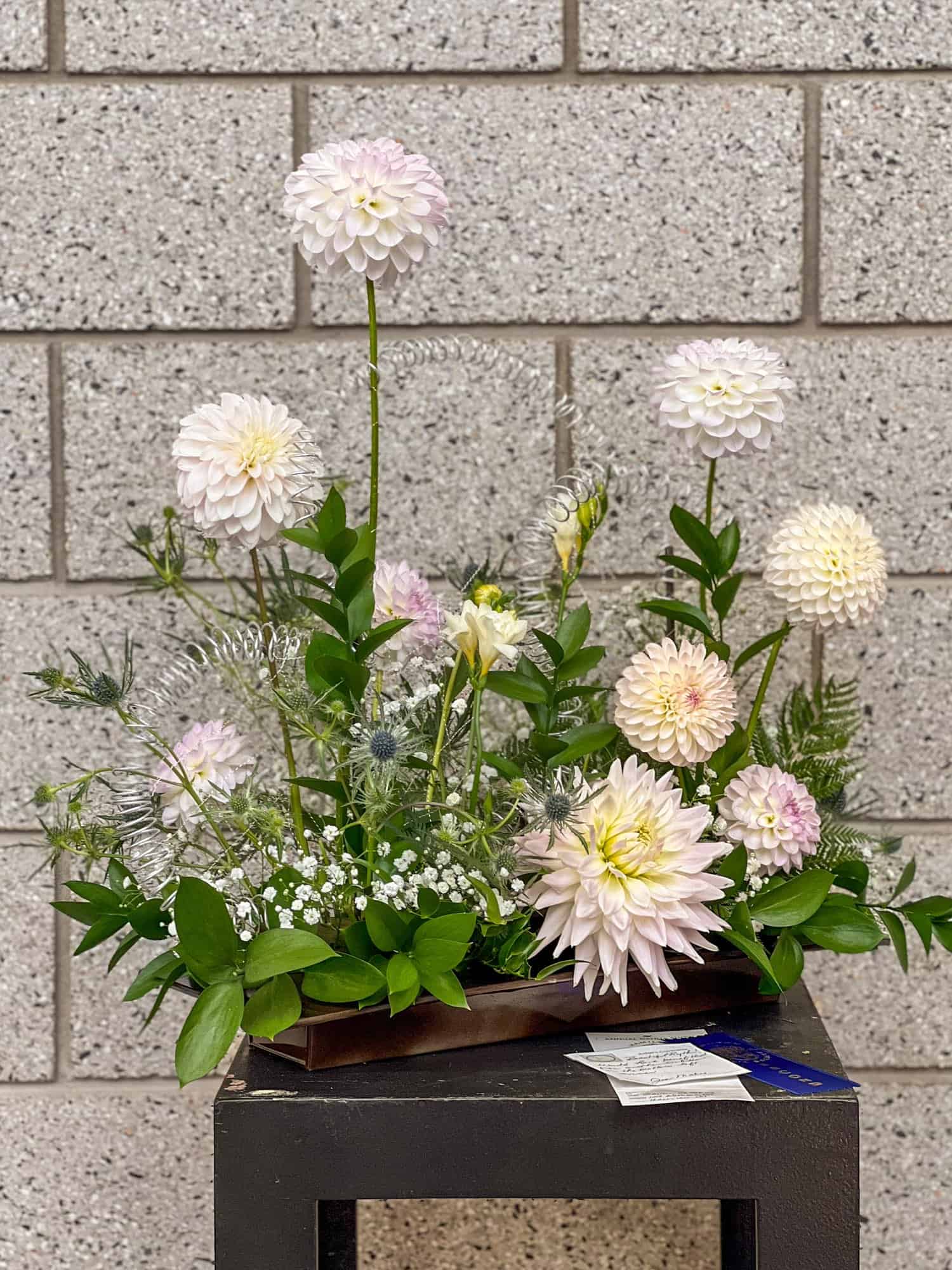 An exhibition floral arrangement of soft, pastel dahlias, blue sea holly and gypsophila.
