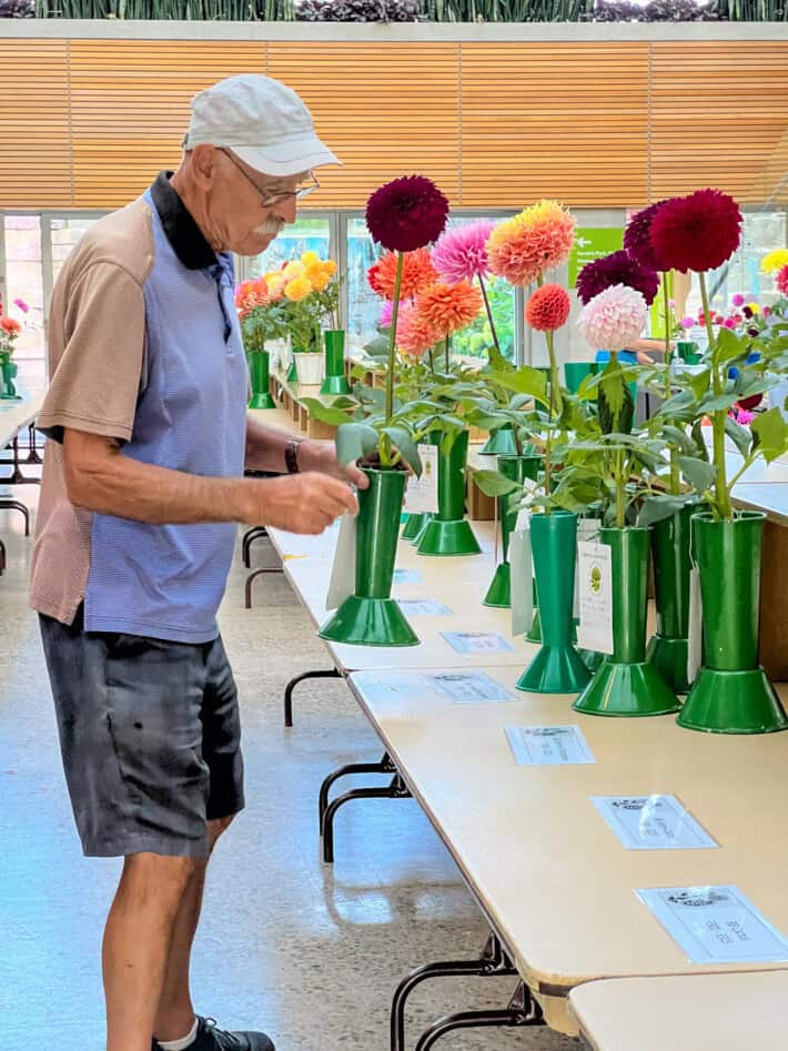 John Mooney places a vase of his own dahlia cultivar, “Colleen Mooney,” on the display table.